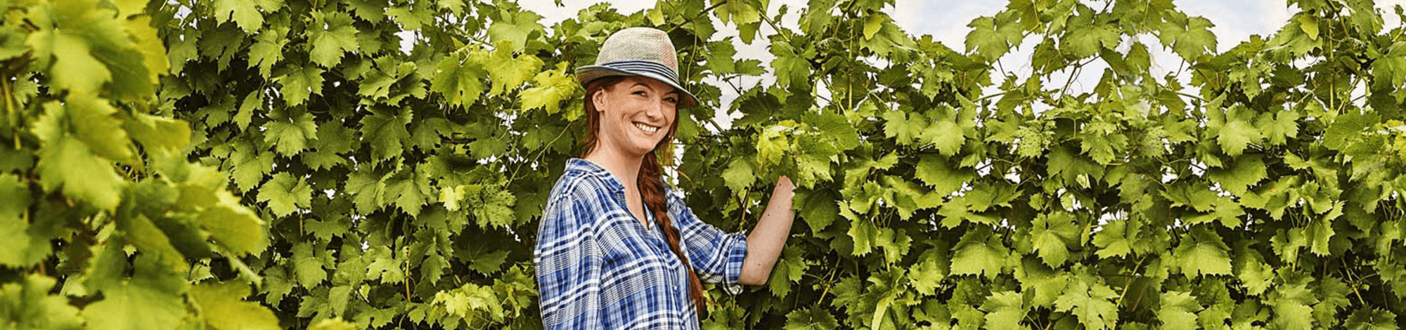 Eine Frau steht vor Weinreben