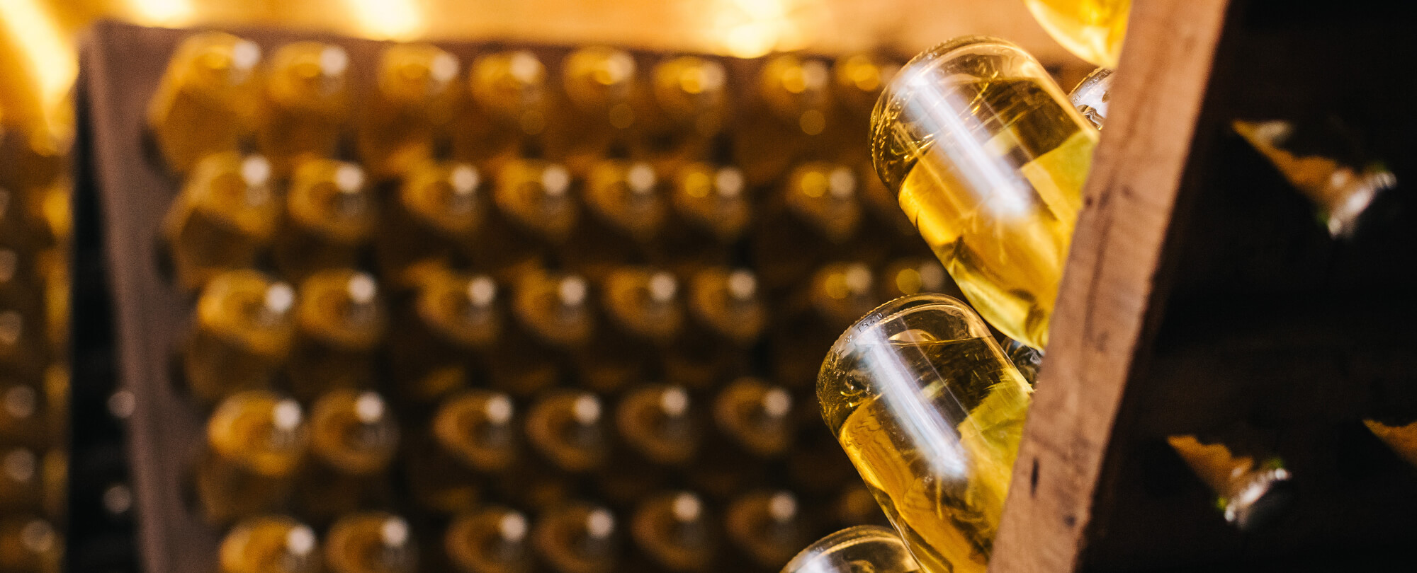 Beleuchtete Rüttelpulte im Schlumberger Weinkeller.